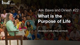 What is the Purpose of Life  Ask Bawa and Dinesh 22 [upl. by Norvell877]