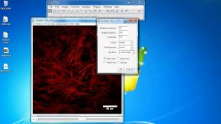 ImageJ Tutorial How to add scale bar [upl. by Malkah]