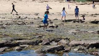 Kilcunda beach australia fun day [upl. by Jasen]