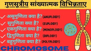 गुणसूत्र में संख्यात्मक विपथन  असुगुणिता Aneuploidyसुगुणिता Euploidy बहुगुणिता Polyploidy [upl. by Honna]