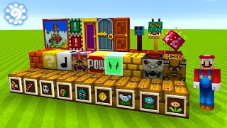 Minecraft Super Mario Mashup  All Blocks and Items [upl. by Abdel]