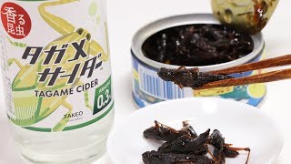 Old and New Insect Eating Giant Water Bug Soda and Canned Grasshopper [upl. by Repohtsirhc443]