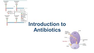 Introduction to Antibiotics [upl. by Smith508]