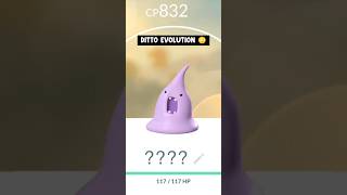 If ditto evolves in pokemon go [upl. by Senalda421]