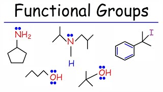 Functional Groups  Primary Secondary Tertiary  Alcohols Amines amp Alkyl Halides [upl. by Elleoj]