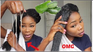 3 WAYS TO USE ALOE VERA FOR MASSIVE HAIR GROWTH  Aloe vera oil Prepoo amp Detangler  UPDATE [upl. by Aneg]