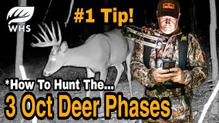 1 October Deer Hunting Tip [upl. by Micheline]