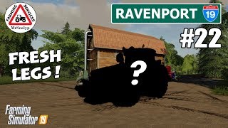 RAVENPORT 22 PS4 Farming Simulator 19 Fresh Legs Start from Scratch Lets Play [upl. by Leumas386]