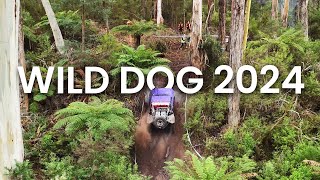 Wild Dog Winch Challenge 2024  Winch Truck Racing Highlights [upl. by Thgirw]