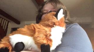 Folkmanis Red Fox Hand Puppet [upl. by Sixela321]