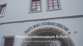 EINBLICKE Naturkundemuseum Erfurt  Ausstellung und Pädagogik [upl. by Yrovi634]