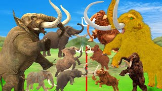 Prehistoric Mammals vs Modern Mammals Mammoth Mastodon Fight Elephant Size Comparison Animal Battle [upl. by Ulund]