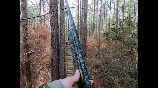 Deer Hunting with Dogs 30 feet up in a Pine Tree summittreestands [upl. by Philender]