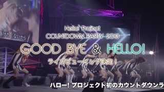 Hello Project COUNTDOWN PARTY 2013 ～ GOOD BYE amp HELLO ～30秒スポット [upl. by Eigroeg644]