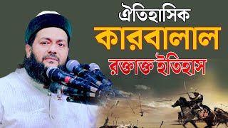 ঐতিহাসিক কারবালার ইতিহাস Dr Anayetullah Abbasi ডঃ এনায়েতুল্লাহ আব্বাসীkarbalar waz [upl. by Ainod]