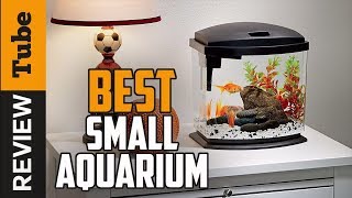 ✅Aquarium Best Aquarium Buying Guide [upl. by Savitt]