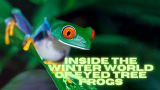 The Winter Survival of Tree Frogs [upl. by Nrubyar464]