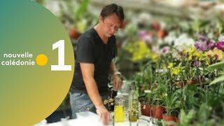 3  Astuce jardinage  Insecticide à lail [upl. by Sterne]