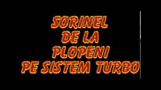 SORINEL DE LA PLOPENI PE SISTEM TURBO [upl. by Annaitsirhc]