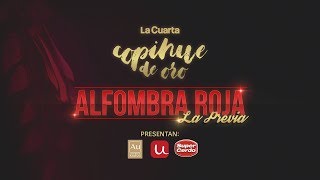 Copihue de Oro 2018  Previa AR [upl. by Noizneb907]