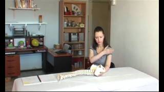 UPLEDGER CRANIOSACRAL THERAPY OVERVIEW PRESENTATION IN PRAGUE CZECH REPUBLIC PART 4 [upl. by Sopher]