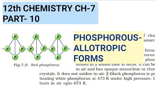 12th Chemistry Ch7Part10Allotropes of PhosphorousStudy with Farru [upl. by Dihaz]