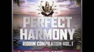 Perfect Harmony riddim medley vol1  prod by Partillo february 2011 [upl. by Lasser]