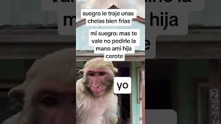 chistes memesvideo paratii humormemes [upl. by Lebam]