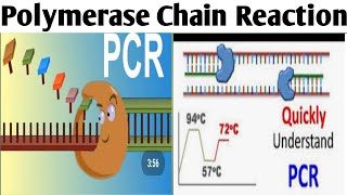 Polymerase Chain Reaction Biotechnology Unit 2 B Pharm 6Sem pcr [upl. by Mich]