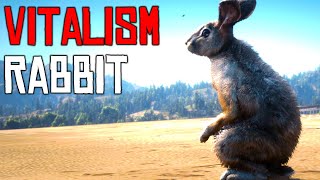 Red Dead Online Rabbit Vitalism Studies [upl. by Ocirrej]