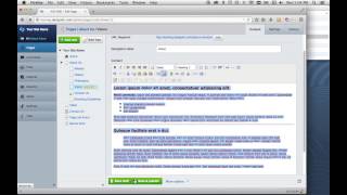 Using the Editor Tools in SilverStripe CMS 31x [upl. by Whitten405]