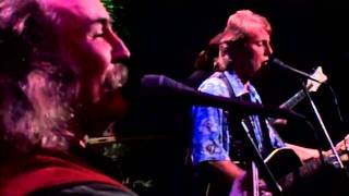 Crosby Stills amp Nash quotDeja Vuquot Live [upl. by Malonis]