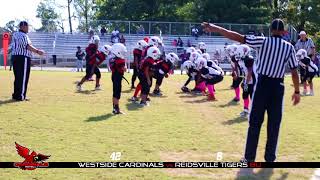 Westside Cardinals vs Reidsville Tigers 8u Highlights [upl. by Anned]