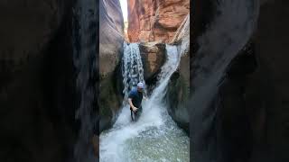 Discovering the Beauty of Kanarra Falls in Utah Shorts Hiking [upl. by Weasner]