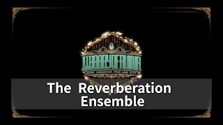 Library of Ruina  The Reverberation Ensemble Violin cover [upl. by Cloe]