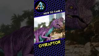 How to tame an Oviraptor [upl. by Nosae332]