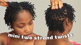 MINI TWIST ON SHORT NATURAL HAIR [upl. by Llejk]