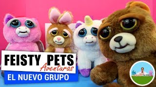 El nuevo grupo  Feisty Pets Aventuras en español  Episodio 1 [upl. by Solraced]