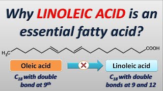 Why Linoleic acid is an essential fatty acid [upl. by Asiram]