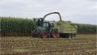 Mais häckseln mit Claas Jaguar 870 Fendt und Case Ih [upl. by Zacharie]