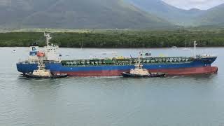 Golden Aspirant Tanker Arriving in Cairns Harbour on 10 Oct 2024 [upl. by Champ]