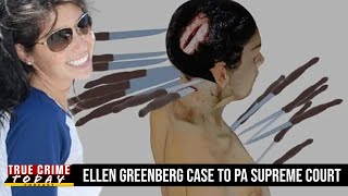 Supreme Court of Pennsylvania Embarks on Ellen Greenberg Investigation [upl. by Binah332]