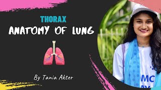 Anatomy of Lung  Bangla Demonstration of Lung  Viscera of Lung  Lung Demonstration  Lung Anatomy [upl. by Irtak20]