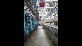 fullwood milking parlour 5025 unit swingover [upl. by Amalie]