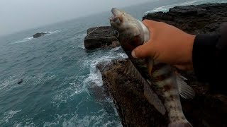 ENCONTRÉ POZO DE CABRILLAS EN PUCUSANA  ¿alguna recomendación  Tablita Fishing [upl. by Leizo349]