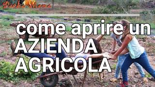 Come aprire un Azienda Agricola informazioni tecniche date dal esperto [upl. by Ahsaz]