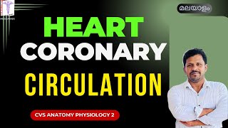 Blood supply of Heart Malayalam Coronary Circulation Malayalam Cardiovascular System Malayalam [upl. by Elyrpa]