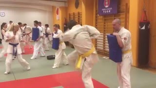 Ashihara Karate Lulea Branch [upl. by Teplica542]