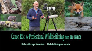 Canon R5c for professional Wildlife filming Tips amp review [upl. by Eiramnerual723]