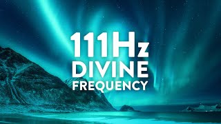 111Hz The Divine Frequency ✧ Cell Regeneration ✧ Deep Meditation ✧ Stress Management [upl. by Yehudit717]